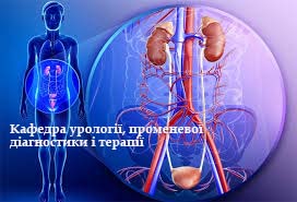 СРС та інтернів. Анатомія і фізіологія органів сечостатевої системи. Аномалія розвитку органів сечової системи. ZSMU_UR_M1_C03