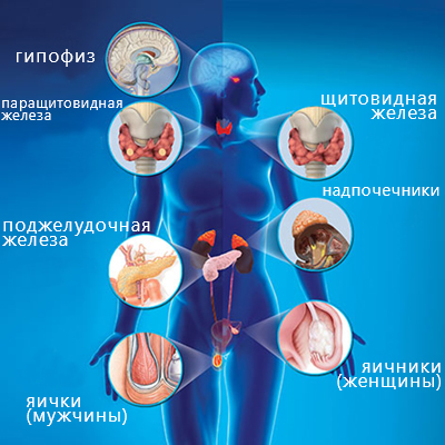 СРС. І Мед IV курс. Основи діагностики, лікування та профілактики основних хвороб органів ендокринної системи VNT1_M1_C08