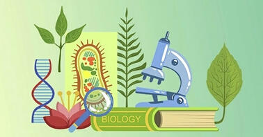 К/В:Сучасні проблеми молекулярної біології_2026 MBIO_KB_C001_2026