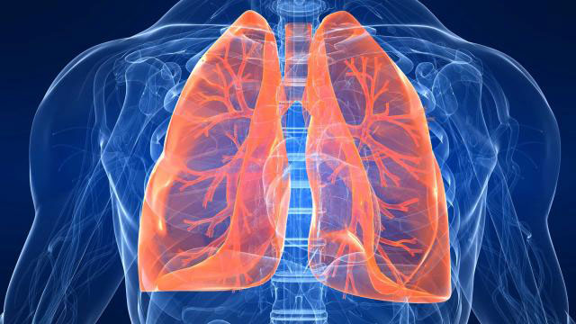 СРС. І Мед IV курс. Основи діагностики, лікування та профілактики основних хвороб органів дихання